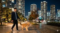 ペッターズ不動産（運営：柴崎建設株式会社）の写真
