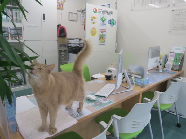 (株)メイワ・エステート (株)メイワ・エステートの写真