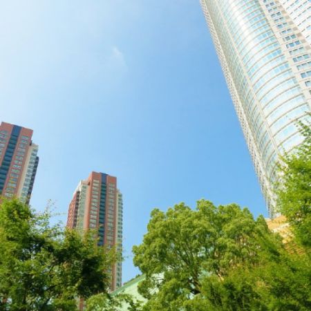 株式会社スターフォレスト 株式会社スターフォレストの写真