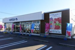 株式会社さくらホーム 小松支店 株式会社さくらホーム 小松支店の写真