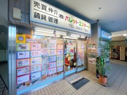 株式会社パレットエステート 株式会社パレットエステートの写真