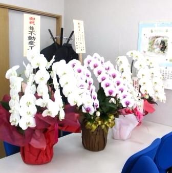 株式会社ハルス 株式会社ハルスの写真