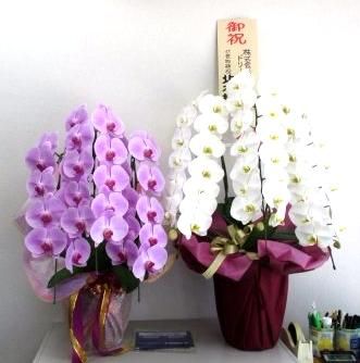 株式会社ハルス 株式会社ハルスの写真