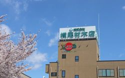 株式会社 横尾材木店の写真