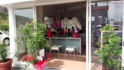 株式会社Pinehomeの写真