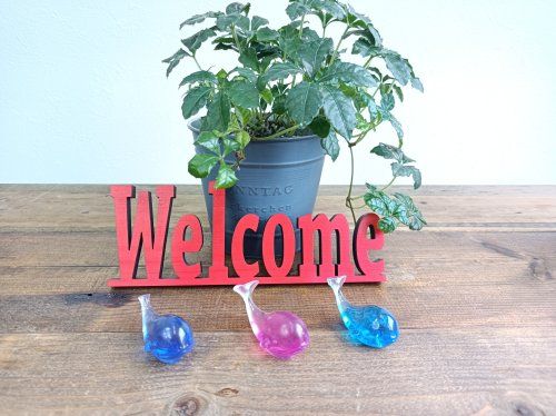 スグ部屋 スグ部屋の写真