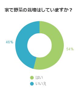 アンケート結果