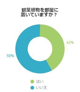 観葉植物を部屋に置いていますか？