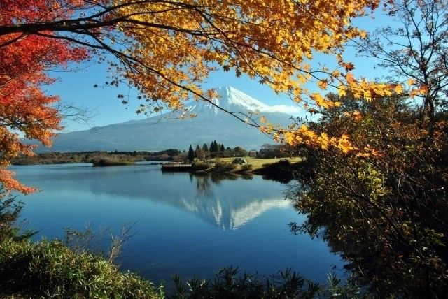 鎌倉の紅葉