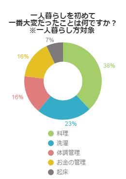 アンケート結果グラフ