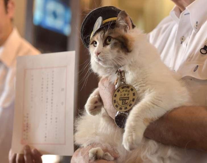 死ぬまでに一度は行きたい駅①：ネコの駅長さんに会いに行こう！