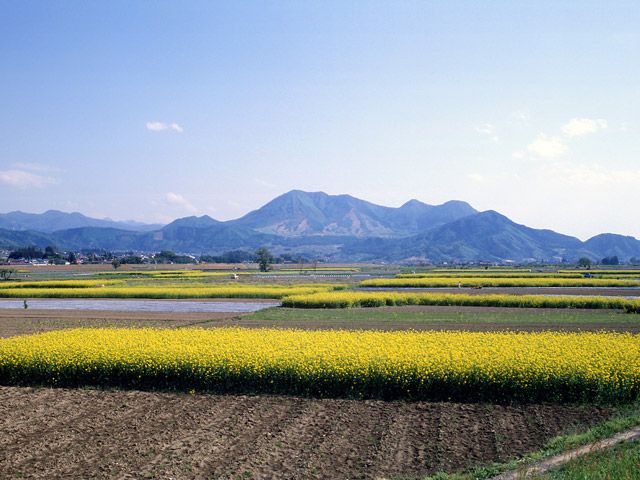 長野県が愛されている理由とは！？【長野県の魅力をご紹介】