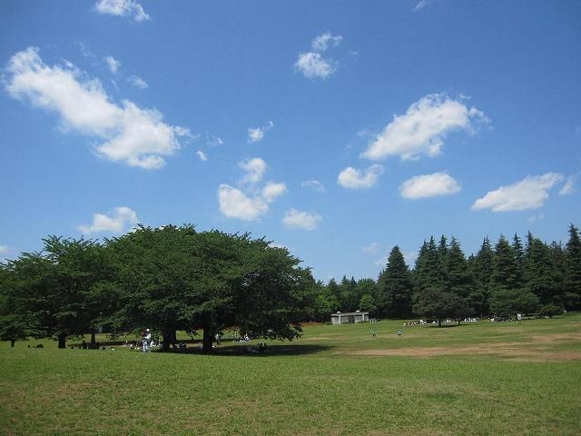 光が丘公園