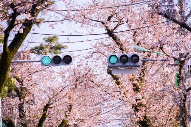 世田谷に住む