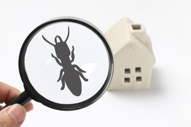 ゴキブリが苦手な方必見 家の害虫対策方法 不動産コラムサイト いえらぶコラム