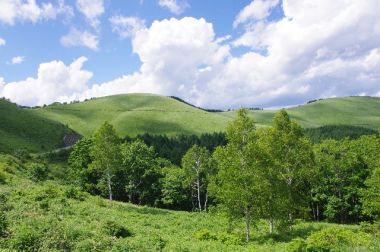 なるほど!地名の由来を知ることが住まい探しに役立つ理由