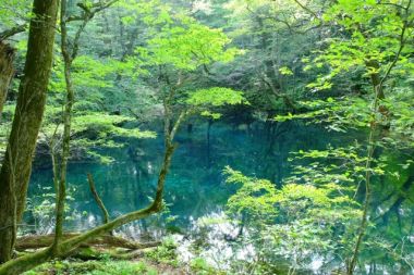 青森県の白神山地と十二湖