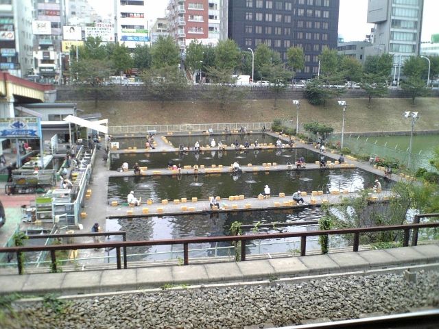 千代田区 市ヶ谷駅前の釣り堀