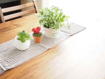 観葉植物のテーブルコーディネート