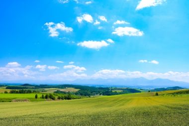 暑い夏こそ北の大地へ！北海道の観光スポットをエリア別にご紹介