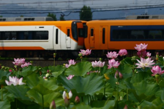 京都府城陽市を通過する電車