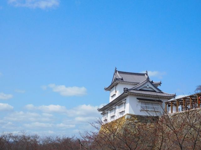 津山市の津山城