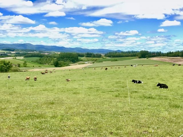 北海道の大自然