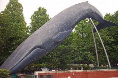 シロナガスクジラの銅像