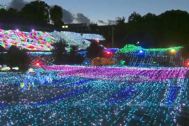 伊豆ぐらんぱる公園/静岡県