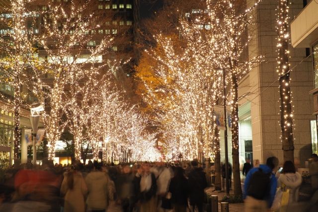 神奈川県のイルミネーションの写真