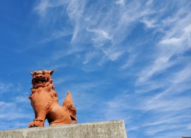 沖縄県のふるさと納税で県産フルーツが貰える!寄付金の使い道は?