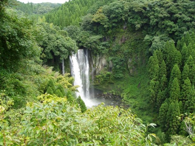 霧島の大自然をイメージ