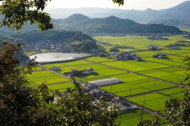 宮崎に移住する風景