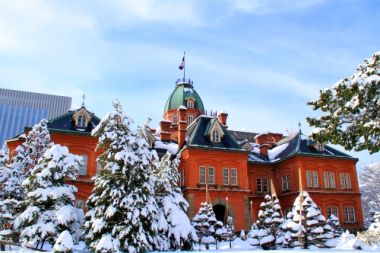 北海道のふるさと納税!使い道や人気の返礼品をご紹介!