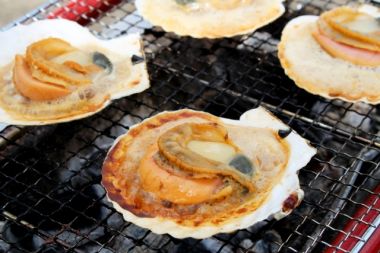 岩手 ふるさと納税でもらえる ホタテ