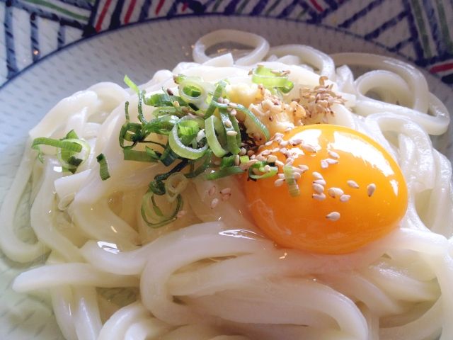 日本食文化　うどん