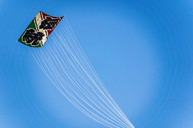 相模原市 住みやすさ 大凧大会