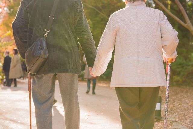 相模原市 住みやすさ 老夫婦