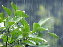 梅雨の仕組み　雨