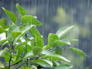 梅雨の仕組み 雨