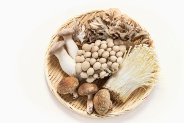 5月24日は 菌活の日