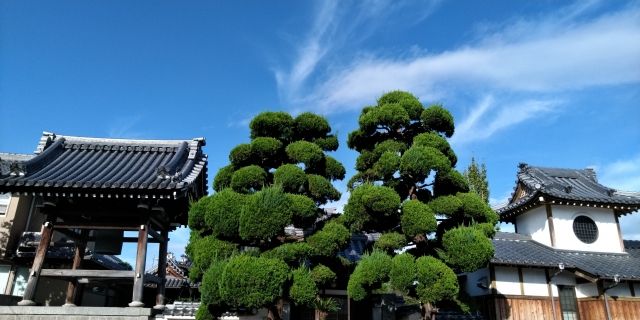 大阪茨木　ふるさと納税