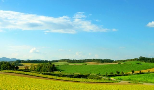 6月25日は住宅デー 世界一敷地面積が広い家とは 不動産コラムサイト いえらぶコラム