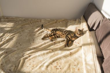 一人暮らしで失敗しない 日当たり
