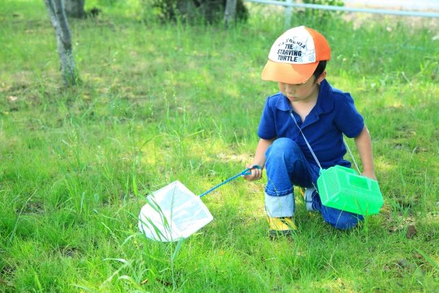 虫取りをする男の子