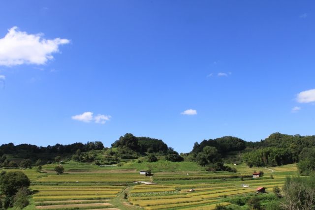 農村の風景
