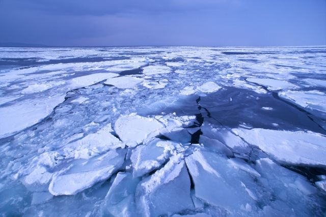 オホーツク海の流氷