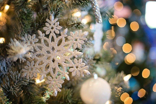 もう一つの起源 冬至祭・ユールとクリスマスツリーについて