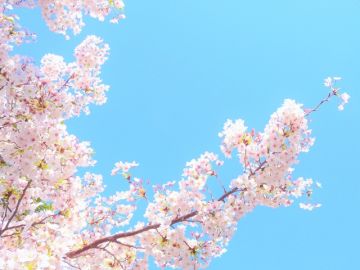 一人暮らしに必要な家具家電はレンタルサービスを使うと無駄がない!その理由と選び方!