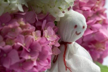 お部屋のカビ対策でジメジメした梅雨を快適に過ごそう!